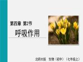 2025年北師大七年級(jí)生物上冊(cè) 第2節(jié)  呼吸作用（課件）
