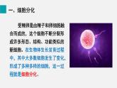 2025年北師大七年級(jí)生物上冊 第2節(jié)  細(xì)胞分化形成組織（課件）