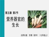 2025年北師大七年級(jí)生物上冊(cè) 第2節(jié)  營(yíng)養(yǎng)器官的生長(zhǎng)（課件）