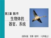 2025年北師大七年級生物上冊 第3節(jié)  生物體的器官、系統(tǒng)（課件）