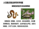 2025年北師大七年級(jí)生物上冊(cè) 第3節(jié) 生物學(xué)研究的基本方法（課件）