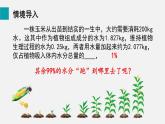 2025年北師大七年級(jí)生物上冊(cè) 第5節(jié)  蒸騰作用（課件）