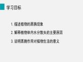 2025年北師大七年級(jí)生物上冊(cè) 第5節(jié)  蒸騰作用（課件）