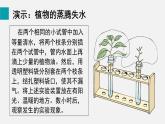 2025年北師大七年級(jí)生物上冊(cè) 第5節(jié)  蒸騰作用（課件）