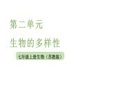 2025年蘇教版七年級(jí)生物上冊(cè) 第2節(jié) 脊椎動(dòng)物（課件）