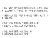 2025年蘇教版七年級(jí)生物上冊(cè) 第2節(jié) 脊椎動(dòng)物（課件）
