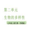 2025年蘇教版七年級生物上冊 第2節(jié) 種子植物（課件）