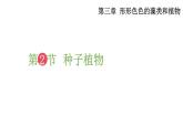 2025年蘇教版七年級生物上冊 第2節(jié) 種子植物（課件）