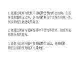 2025年蘇教版七年級生物上冊 第2節(jié) 種子植物（課件）