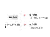 2025年蘇教版七年級生物上冊 第2節(jié) 種子植物（課件）