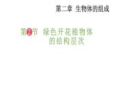 2025年蘇教版七年級(jí)生物上冊(cè) 第3節(jié) 多細(xì)胞生物體的組成（課件）