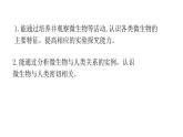 2025年蘇教版七年級生物上冊 第1節(jié) 真菌、細菌和病毒（課件）