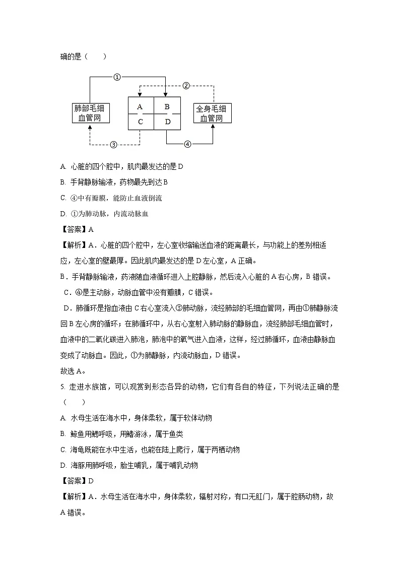 【生物】2025年辽宁省丹东市凤城市八年级二模试题（解析版）第3页