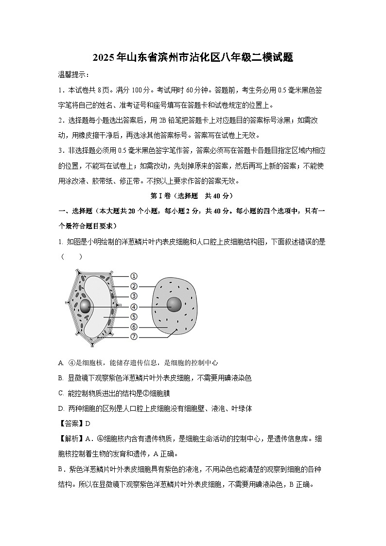 【生物】2025年山东省滨州市沾化区八年级二模试题（解析版）第1页