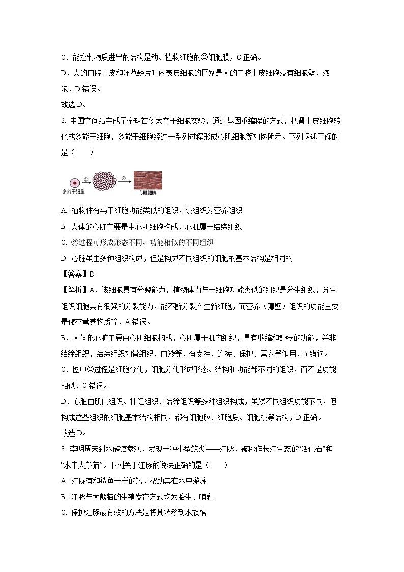 【生物】2025年山东省滨州市沾化区八年级二模试题（解析版）第2页