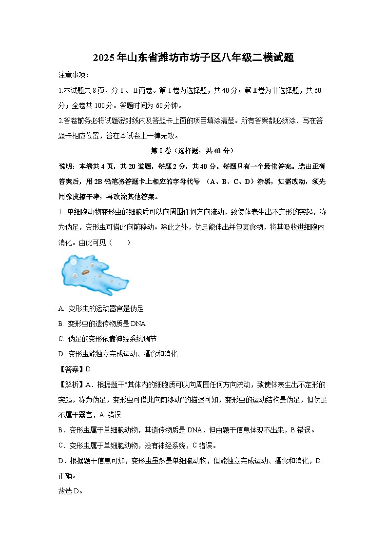 【生物】2025年山东省潍坊市坊子区八年级二模试题（解析版）第1页