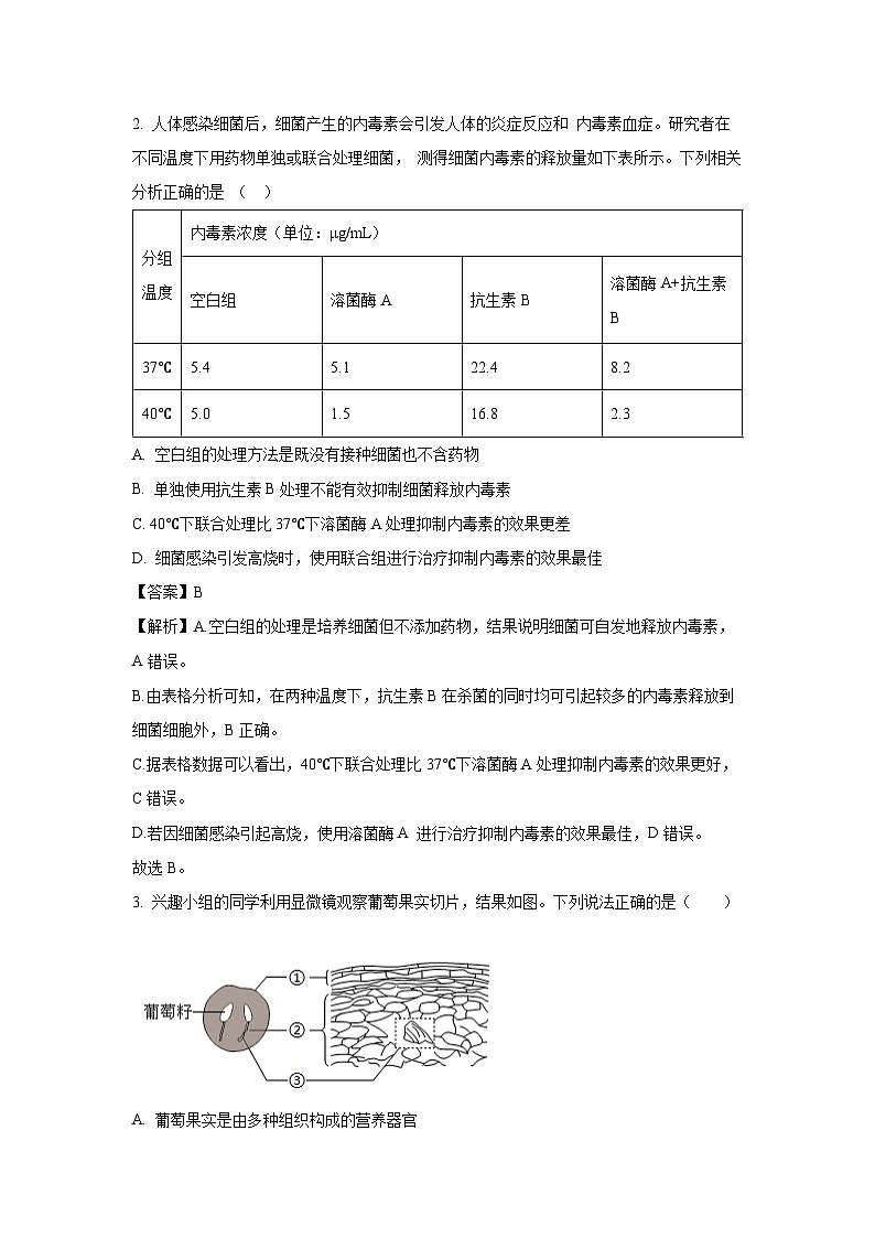 【生物】2025年山东省潍坊市坊子区八年级二模试题（解析版）第2页