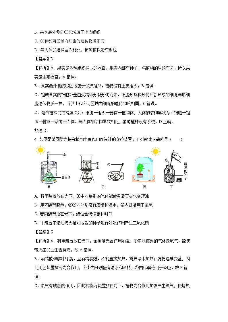【生物】2025年山东省潍坊市坊子区八年级二模试题（解析版）第3页