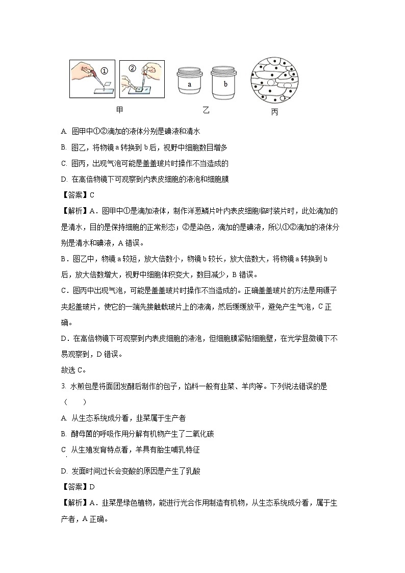 【生物】2025年山东省泰安市东平县八年级三模试题（解析版）第2页