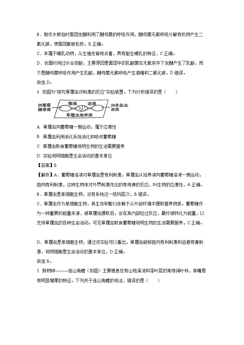【生物】2025年山东省泰安市东平县八年级三模试题（解析版）第3页