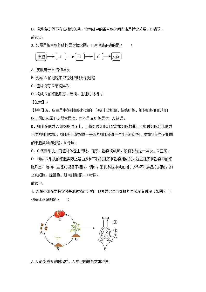 【生物】2025年山东省淄博市周村区中考二模试题（解析版）第2页