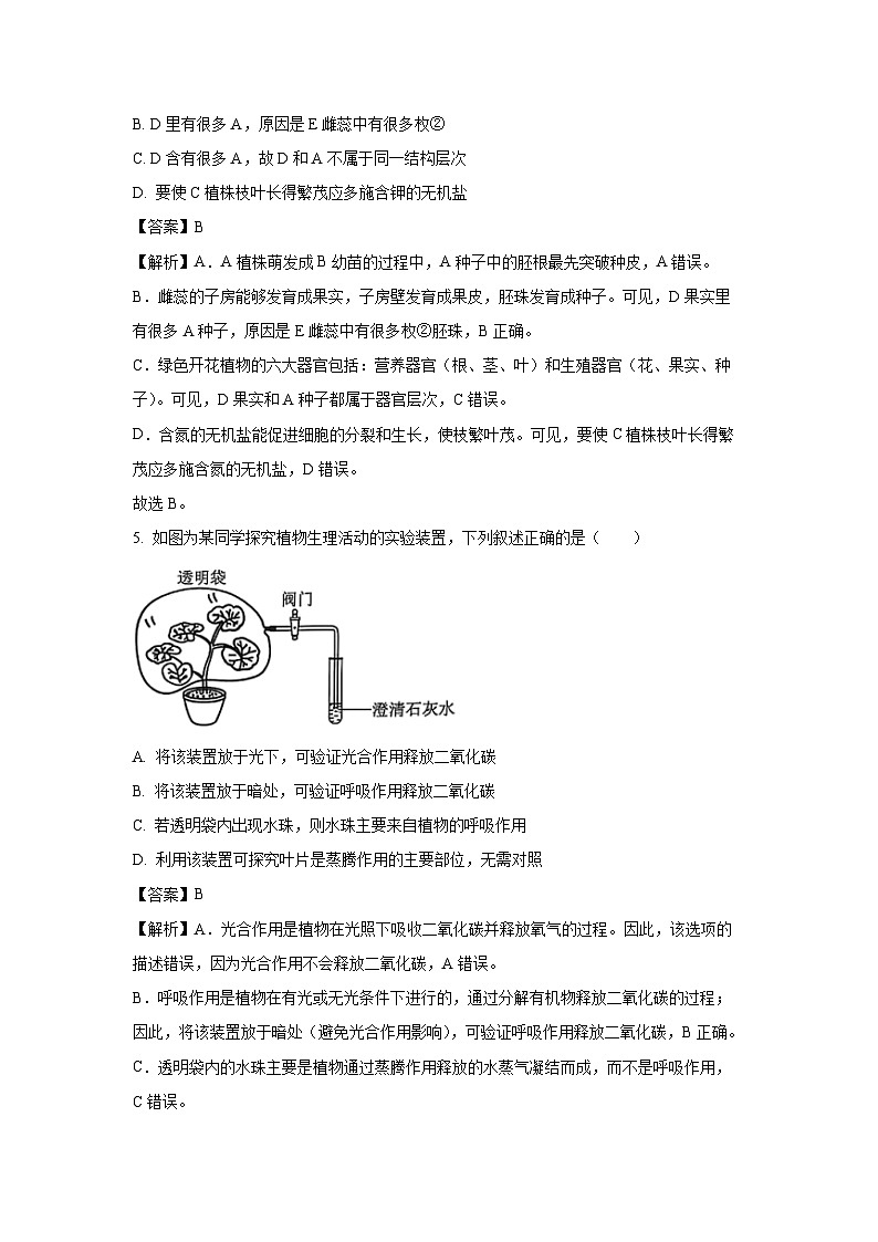 【生物】2025年山东省淄博市周村区中考二模试题（解析版）第3页