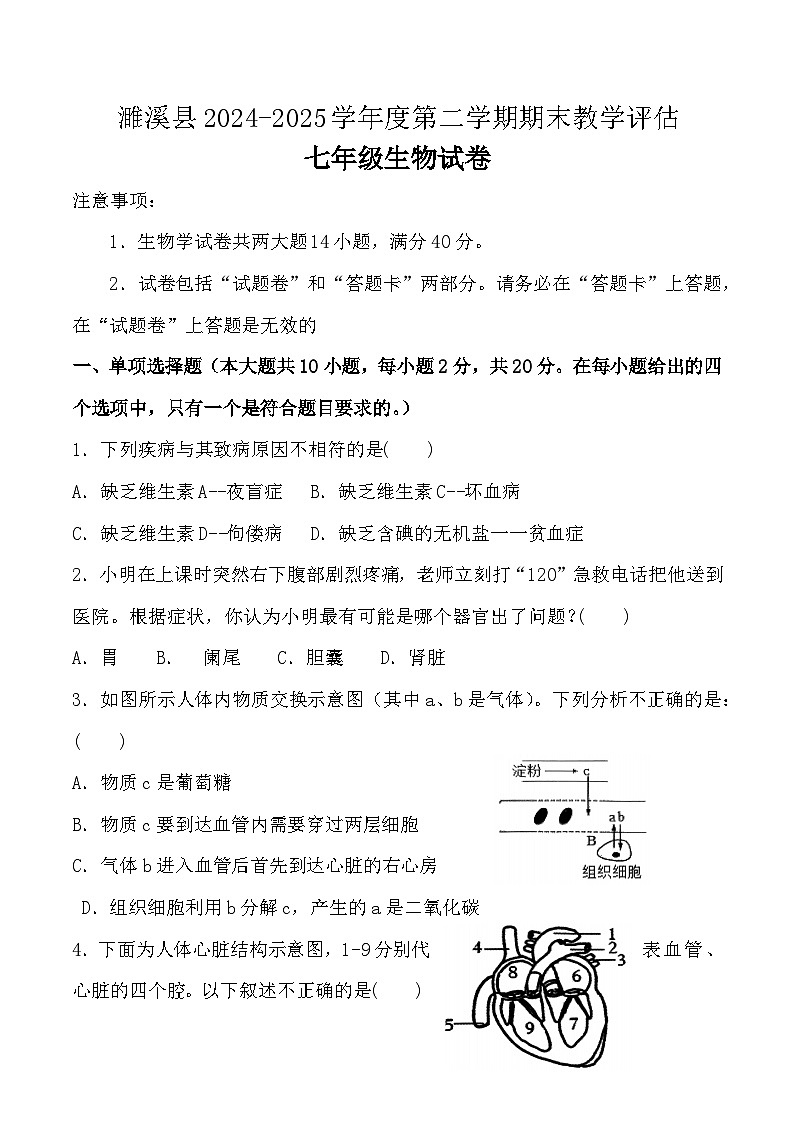 【7生（BS）期末】淮北市濉溪县2024-2025学年七年级下学期6月期末生物试卷第1页