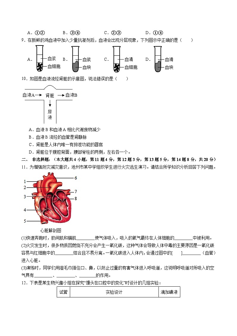 【7生（RJ）期末】池州市贵池区2024-2025学年七年级下学期生物期末试卷第2页