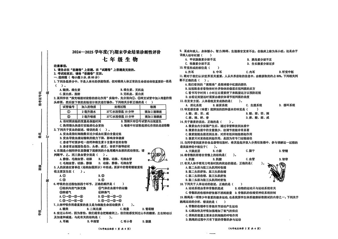 【7生（BS）期末】阜阳市界首市2024-2025学年七年级下学期6月期末生物试卷第1页