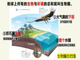 2025-2026学年北师大版七年级上册生物学1.1.1形形色色的生物课件