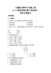 人教版（2024）八年级上册（2024）第三节 神经系统支配下的运动优秀一课一练