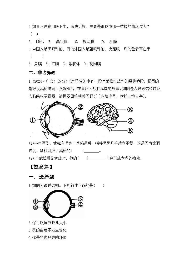 人教版初中生物八年级上册4.6.1《人体对外界环境的感知》第1课时 同步分层练习（含答案）第2页