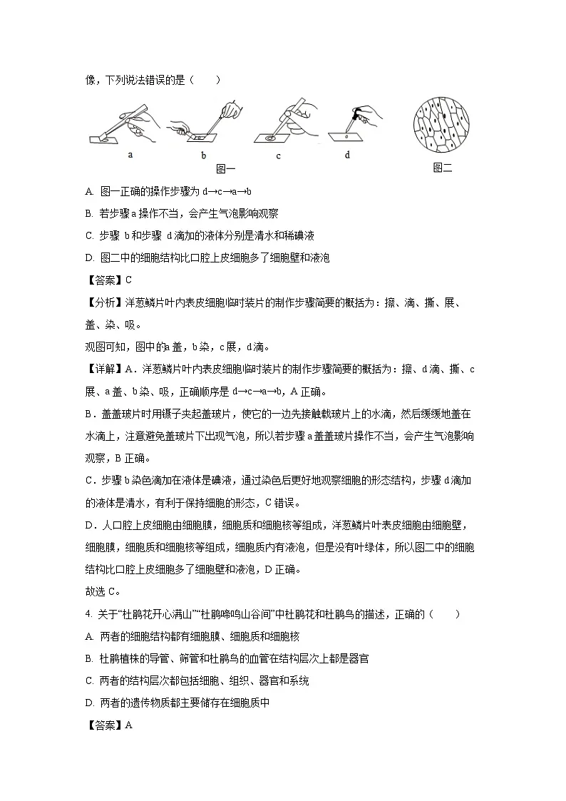2025年四川省乐山市丼研县中考模拟预测生物试卷（解析版）第3页