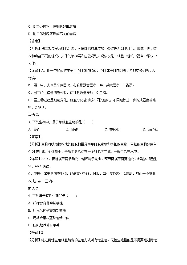 2025年辽宁省沈阳市沈北新区八年级中考二模[中考模拟]生物试卷（解析版）第2页