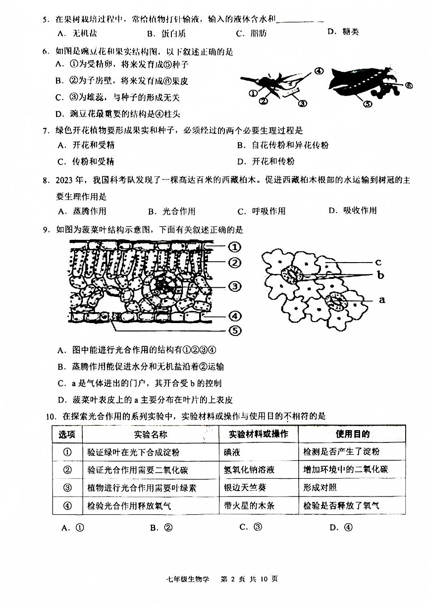 2025年白云区七年级下学期期末生物考试卷（含答案）第2页