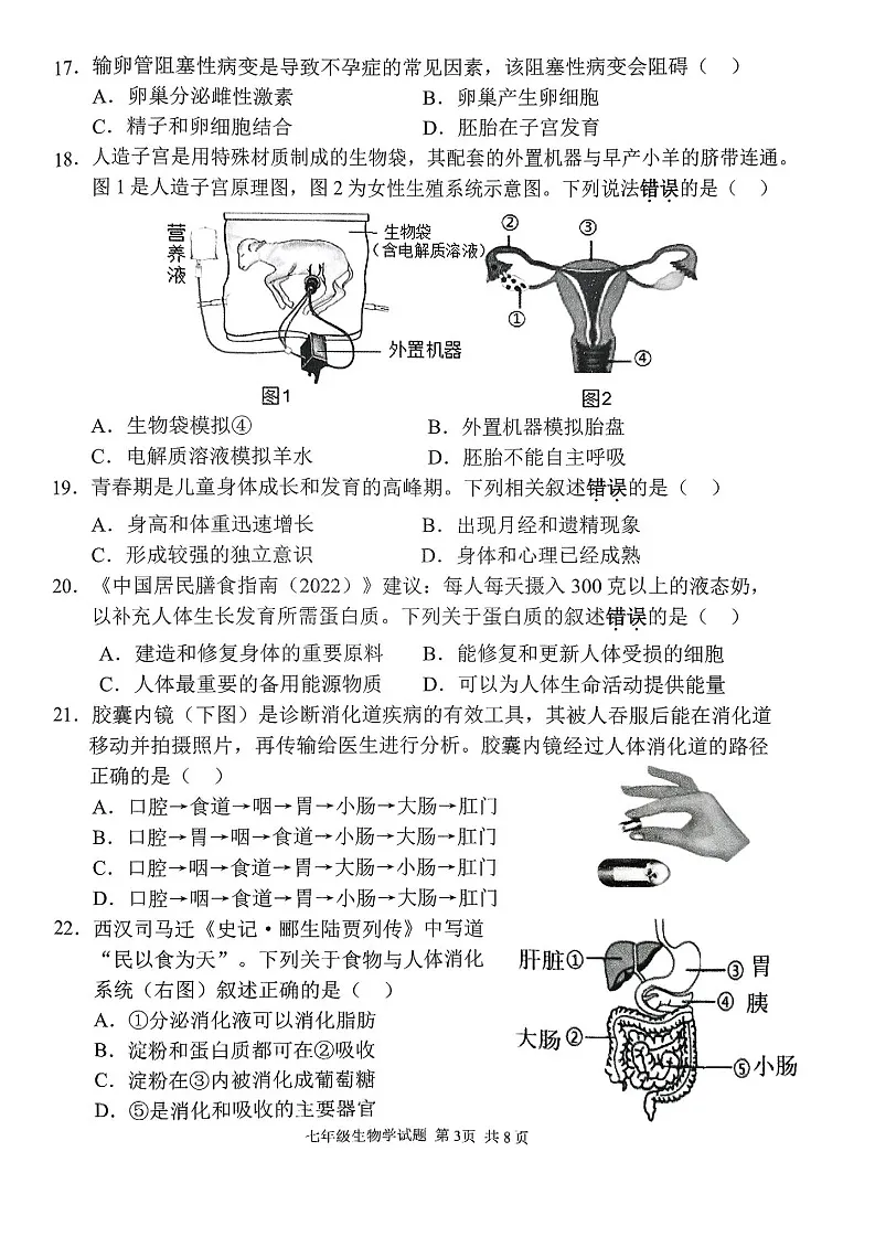 2025年番禺区七年级下学期期末生物考试卷（含答案）第3页