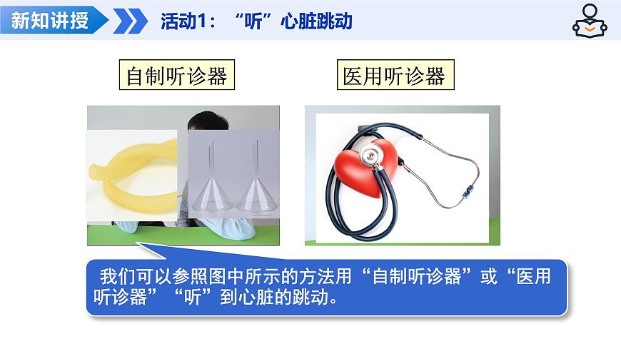 14.2 血管与心脏 第2课时（教学课件）-2025-2026学年八年级生物上册（苏科版2024）第5页