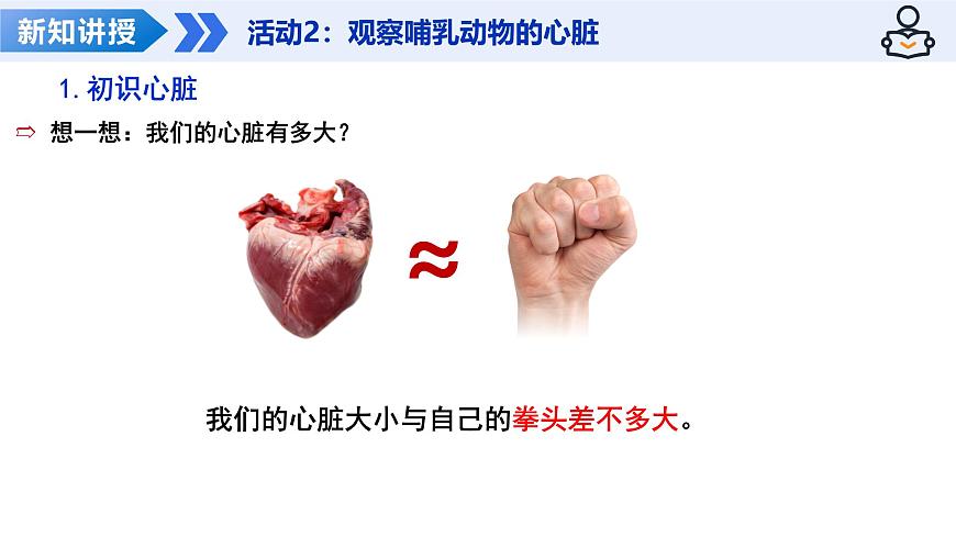 14.2 血管与心脏 第2课时（教学课件）-2025-2026学年八年级生物上册（苏科版2024）第7页