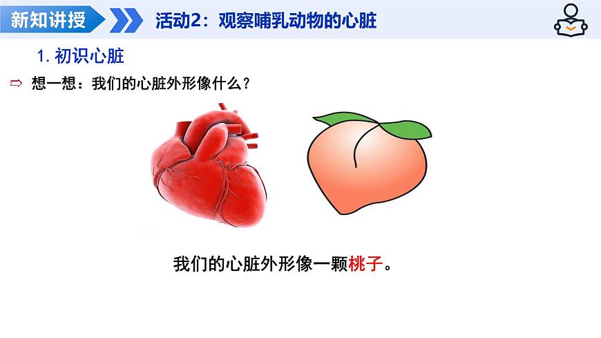14.2 血管与心脏 第2课时（教学课件）-2025-2026学年八年级生物上册（苏科版2024）第8页
