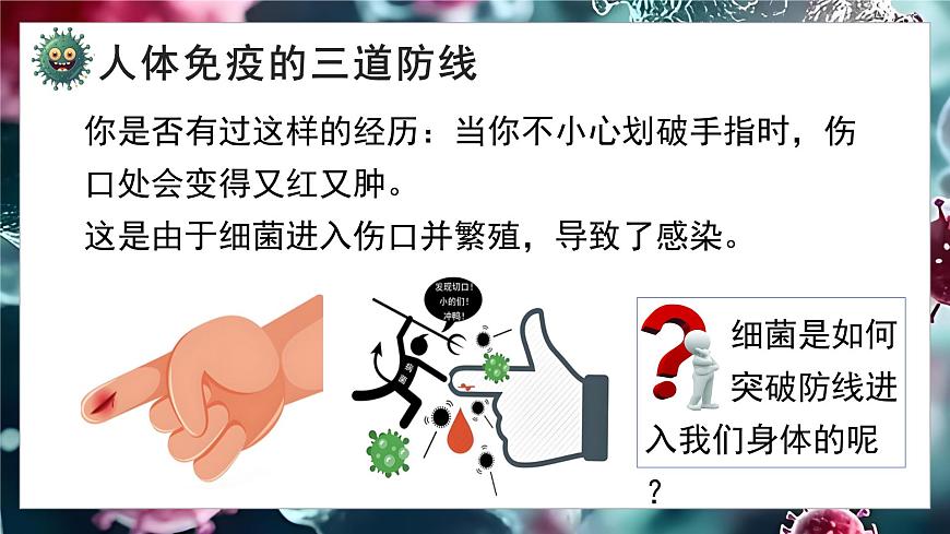 5.13.2 人体免疫（教学课件）-2025-2026学年八年级生物上册（北师大版2024）第5页