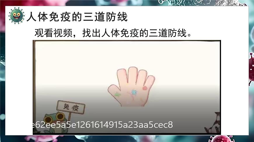 5.13.2 人体免疫（教学课件）-2025-2026学年八年级生物上册（北师大版2024）第6页