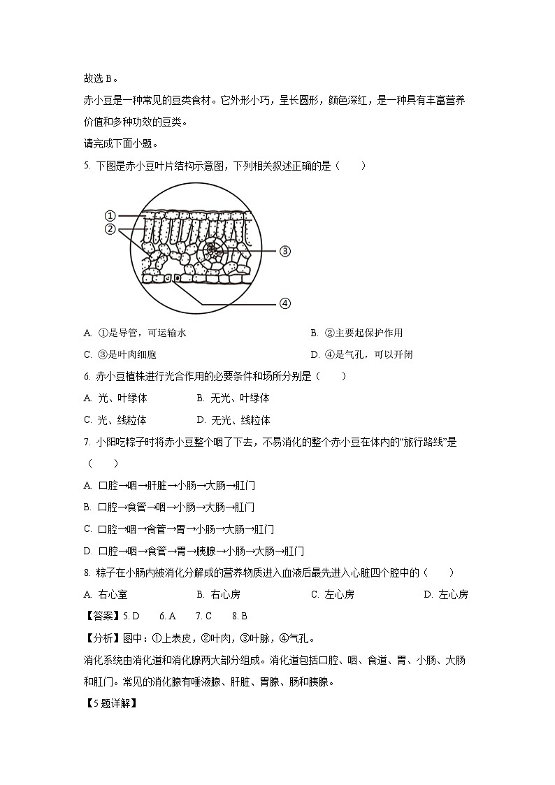 山西省吕梁市方山县部分学校2024-2025学年七年级下学期期末生物试卷（解析版）第3页