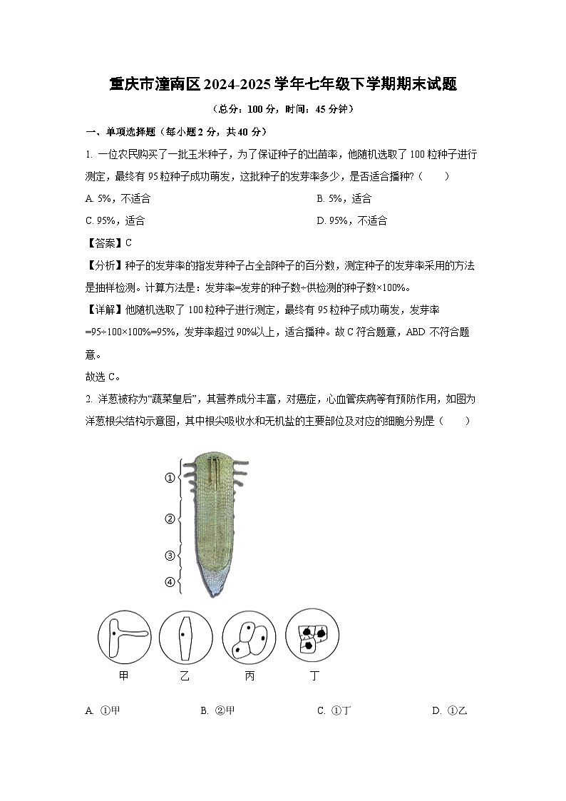 重庆市潼南区2024-2025学年七年级下学期期末生物试卷（解析版）第1页