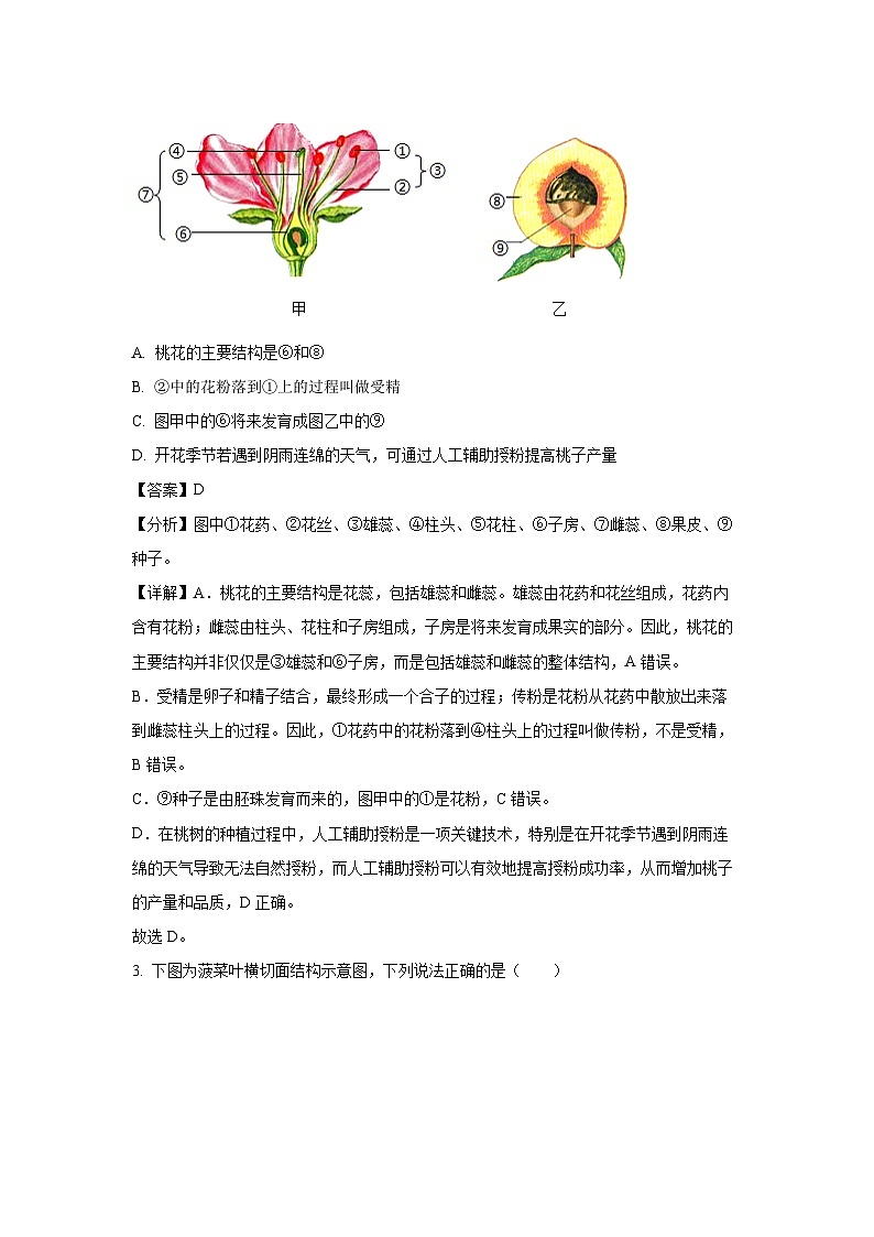 河南省驻马店市泌阳县2024-2025学年七年级下学期期末生物试卷（解析版）第2页