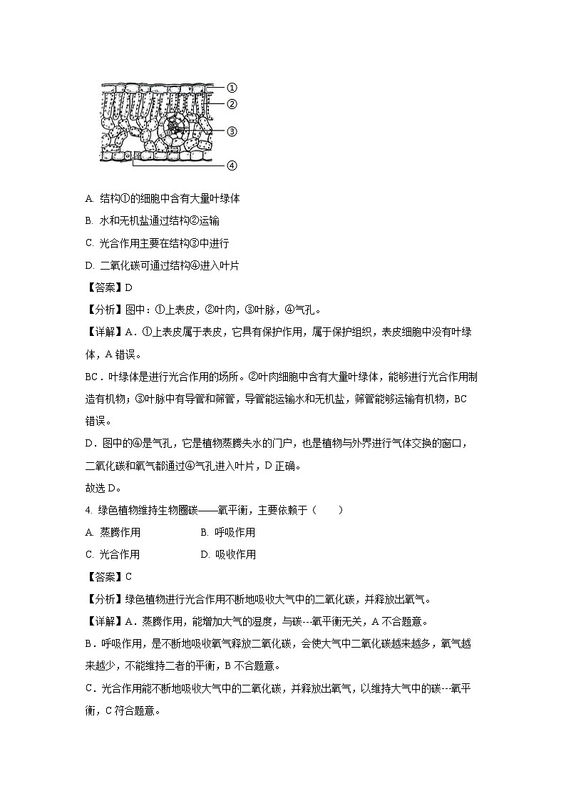 河南省驻马店市泌阳县2024-2025学年七年级下学期期末生物试卷（解析版）第3页