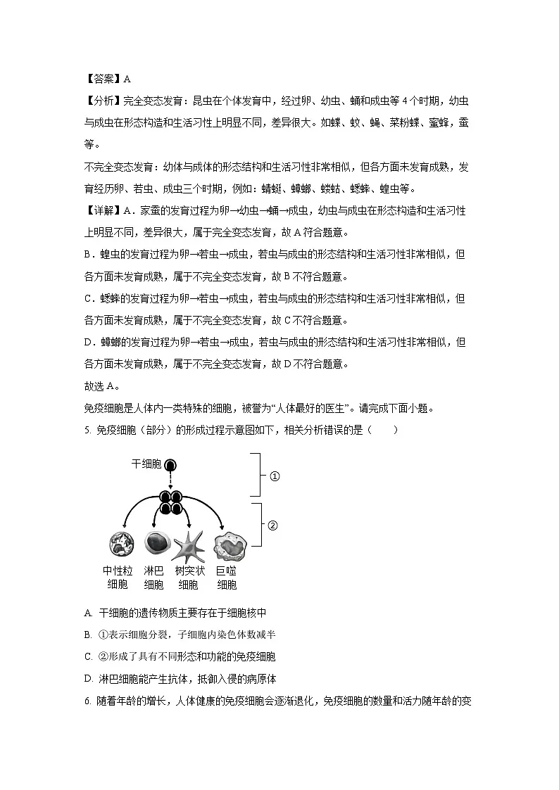 2025年河南省洛阳市初中学业水平考试生物试卷（解析版）第3页