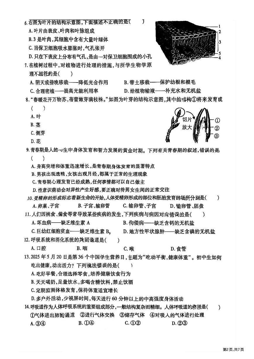 2025年哈尔滨市南岗区七年级（下）期末生物试题及答案第2页