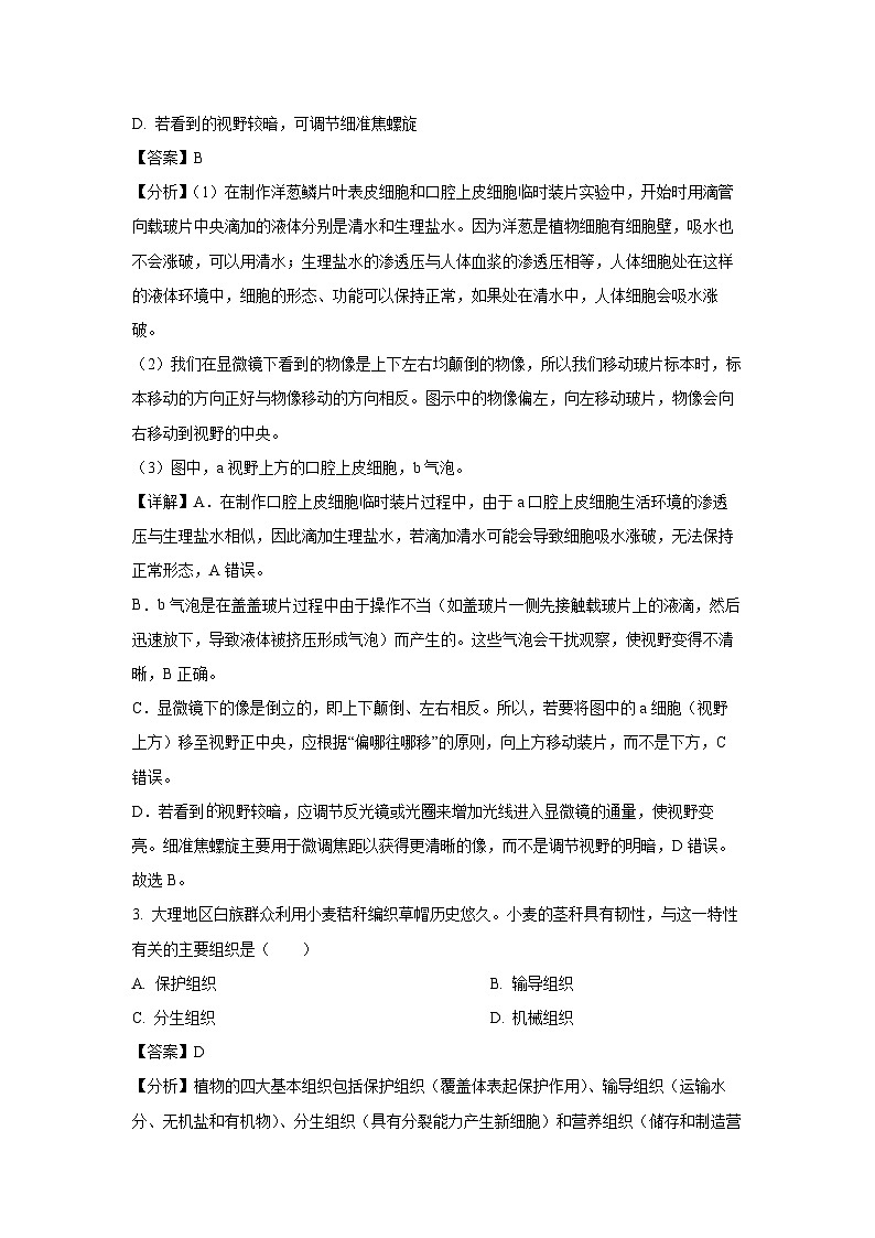 2025年云南省楚雄彝族自治州元谋县八年级中考二模[中考模拟]生物试卷（解析版）第2页