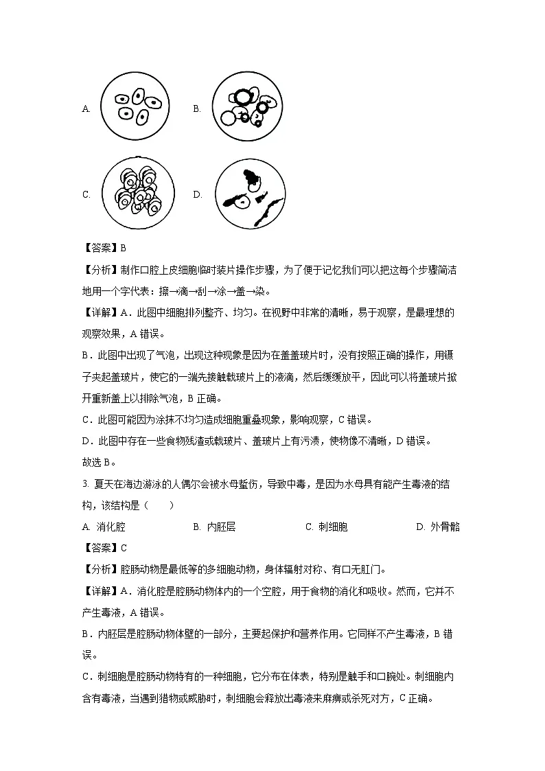 2025年湖南省邵阳市武冈市九年级中考三模生物试卷（解析版）第2页
