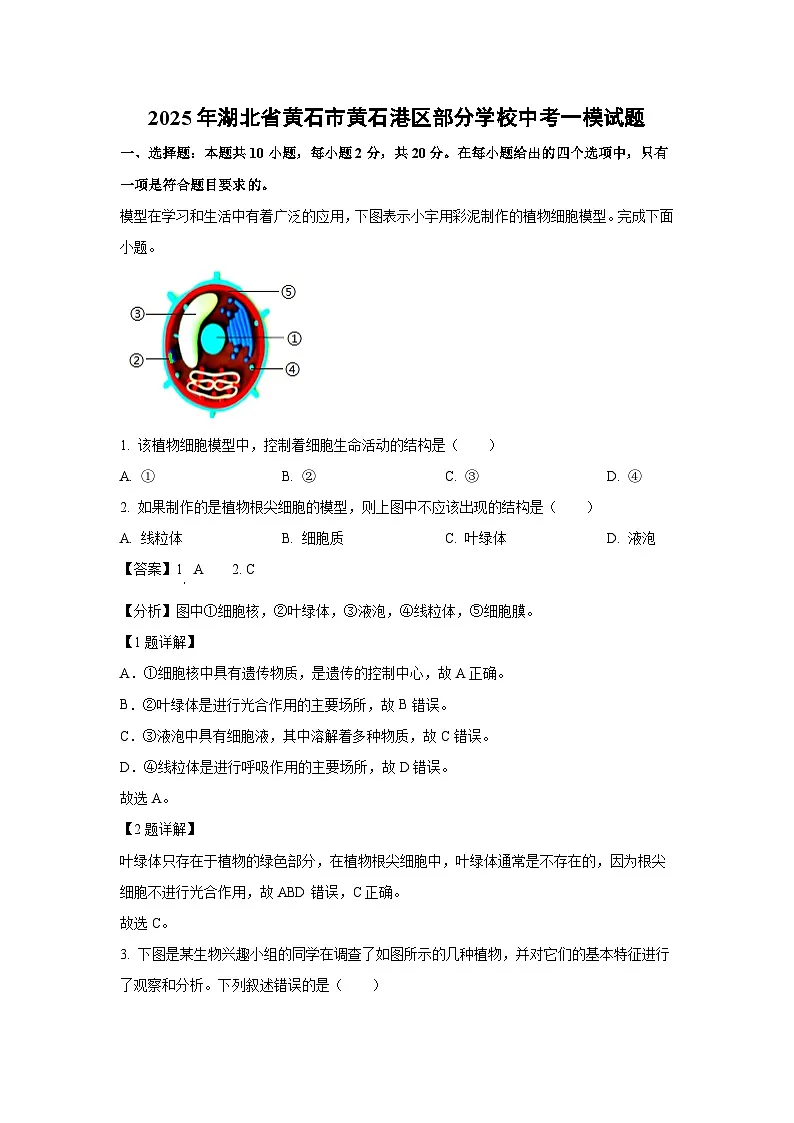 2025年湖北省黄石市黄石港区部分学校中考一模[中考模拟]生物试卷（解析版）第1页